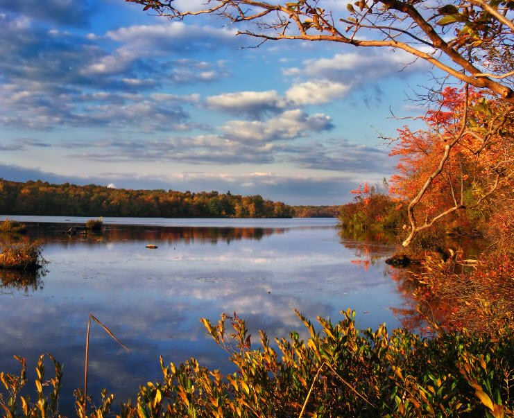 Tobyhanna State Park, Pennsylvania, USA